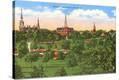 Stretched Canvas Print