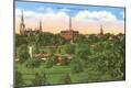 Premium Giclee Print