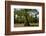 Merchants Millpond State Park, North Carolina-Paul Souders-Framed Photographic Print