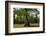 Merchants Millpond State Park, North Carolina-Paul Souders-Framed Photographic Print