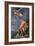 Mercury and Paris-Donato Creti-Framed Giclee Print