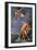 Mercury and Paris-Donato Creti-Framed Giclee Print