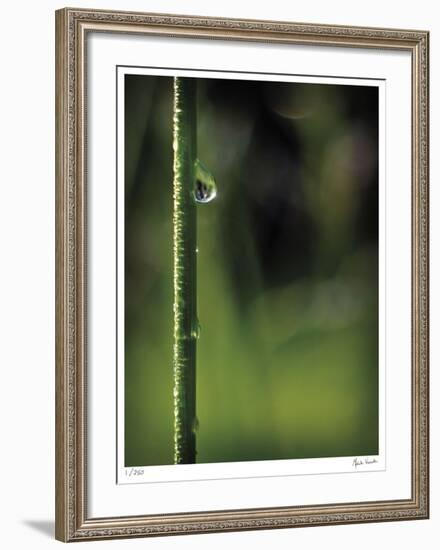 Mercy-Michelle Wermuth-Framed Giclee Print