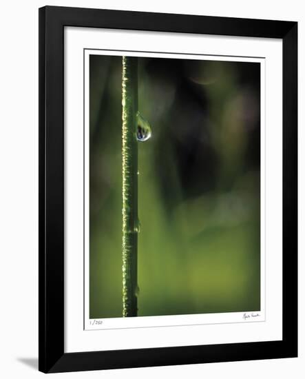 Mercy-Michelle Wermuth-Framed Giclee Print