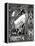 Merlin and Nimue-Aubrey Beardsley-Framed Premier Image Canvas