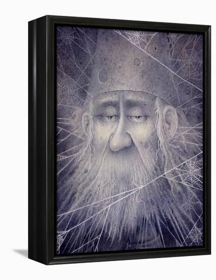 Merlin Turned to Stone-Wayne Anderson-Framed Premier Image Canvas