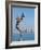 Mermaid Angel Playing Saxophone Sculpture on the Malecon, Puerto Vallarta, Jalisco, Mexico, North A-Michael DeFreitas-Framed Photographic Print