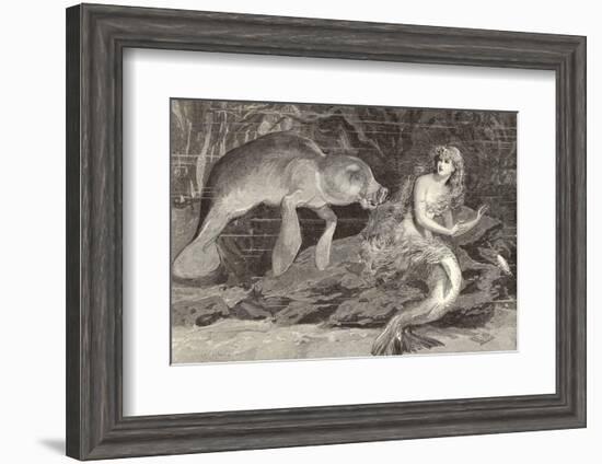 Mermaid Compared with the Manatee at the Zoological Gardens London-null-Framed Photographic Print