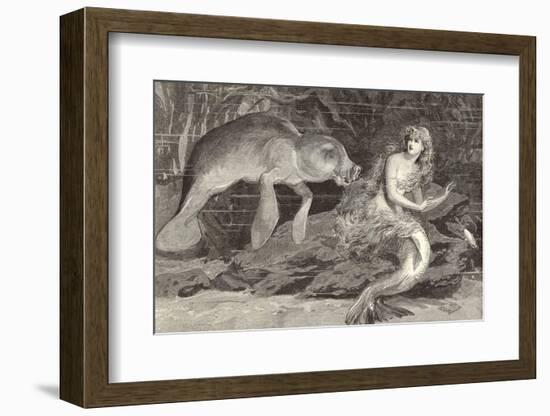 Mermaid Compared with the Manatee at the Zoological Gardens London-null-Framed Photographic Print