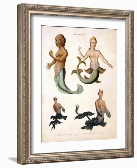 Mermaid, from Encyclopaedia Londinensis, 1817-J. Pass-Framed Giclee Print