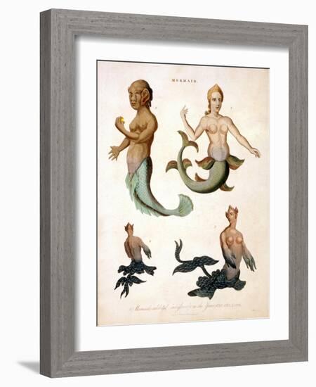 Mermaid, from Encyclopaedia Londinensis, 1817-J. Pass-Framed Giclee Print