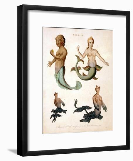 Mermaid, from Encyclopaedia Londinensis, 1817-J. Pass-Framed Giclee Print