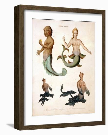 Mermaid, from Encyclopaedia Londinensis, 1817-J. Pass-Framed Giclee Print