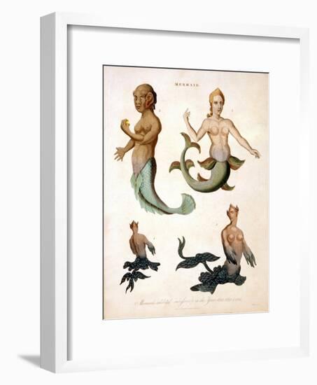 Mermaid, from Encyclopaedia Londinensis, 1817-J. Pass-Framed Giclee Print