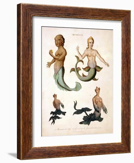 Mermaid, from Encyclopaedia Londinensis, 1817-J. Pass-Framed Giclee Print