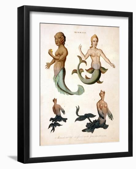 Mermaid, from Encyclopaedia Londinensis, 1817-J. Pass-Framed Giclee Print