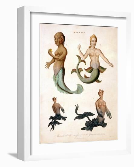 Mermaid, from Encyclopaedia Londinensis, 1817-J. Pass-Framed Giclee Print