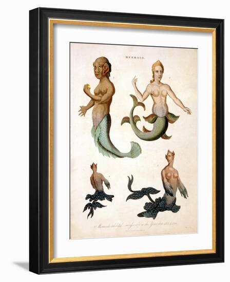 Mermaid, from Encyclopaedia Londinensis, 1817-J. Pass-Framed Giclee Print