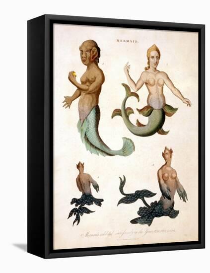 Mermaid, from Encyclopaedia Londinensis, 1817-J. Pass-Framed Premier Image Canvas