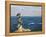 Mermaid Monument at the Glorieta Sanchez Taboada, Mazatlan, Mexico-Charles Sleicher-Framed Premier Image Canvas