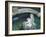 Mermaid of Laignes, 2006-Vincent Alexander Booth-Framed Giclee Print