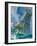 Mermaid Seen by One of Henry Hudson's Crew-Severino Baraldi-Framed Giclee Print