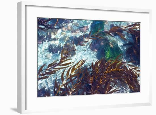 Mermaid Tresses I-Rita Crane-Framed Photo