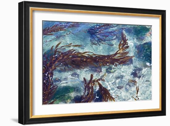 Mermaid Tresses II-Rita Crane-Framed Photo