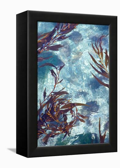 Mermaid Tresses IV-Rita Crane-Framed Stretched Canvas