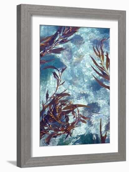 Mermaid Tresses IV-Rita Crane-Framed Photo
