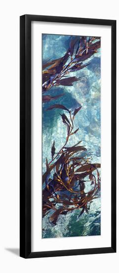 Mermaid Tresses VI-Rita Crane-Framed Photo