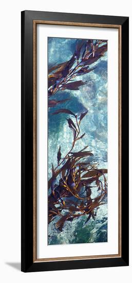 Mermaid Tresses VI-Rita Crane-Framed Photo