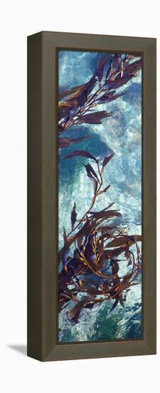 Mermaid Tresses VI-Rita Crane-Framed Stretched Canvas