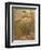 Mermaid-Arthur Rackham-Framed Premium Photographic Print