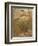 Mermaid-Arthur Rackham-Framed Photographic Print