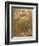 Mermaid-Arthur Rackham-Framed Photographic Print