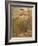 Mermaid-Arthur Rackham-Framed Photographic Print