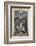 Mermaid-Arthur Rackham-Framed Photographic Print