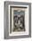 Mermaid-Arthur Rackham-Framed Photographic Print