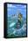 Mermaid-Peter Adderley-Framed Stretched Canvas