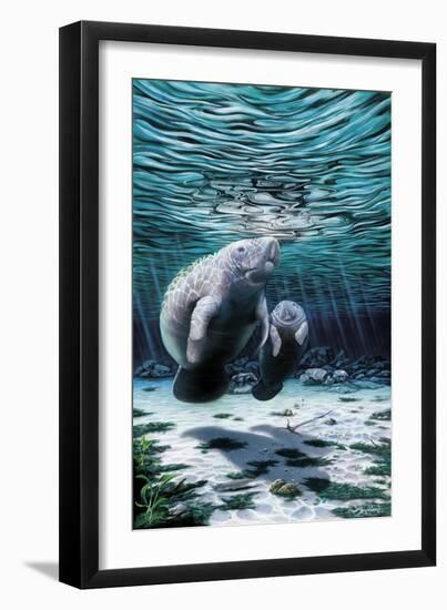 Mermaids of Crystal River-Dann Spider-Framed Giclee Print