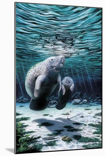 Mermaids of Crystal River-Dann Spider-Mounted Giclee Print