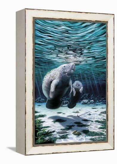 Mermaids of Crystal River-Dann Spider-Framed Premier Image Canvas