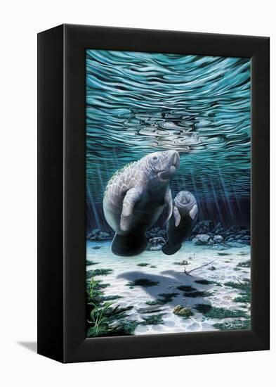 Mermaids of Crystal River-Dann Spider-Framed Premier Image Canvas