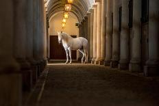 In the Barn-Merrie Asimow-Photographic Print