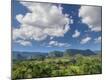 Photographic Print