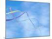 Premium Photographic Print