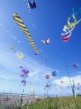 Kites on the Beach, Long Beach, Washington, USA-Merrill Images-Photographic Print