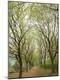 Photographic Print