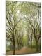 Photographic Print